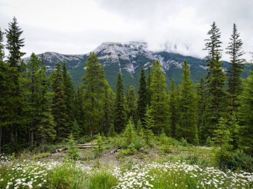 Sulphur Mountain | Banff Gondola Canada