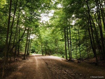 Beltline Trail | Don Valley Brick Works Park, Toronto Canada