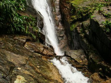 Trilha Cachoeira nas Ruínas da Lagoinha | Ubatuba