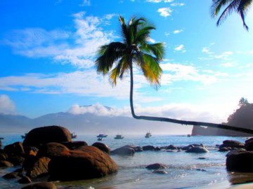 Volta Completa na Ilha Grande