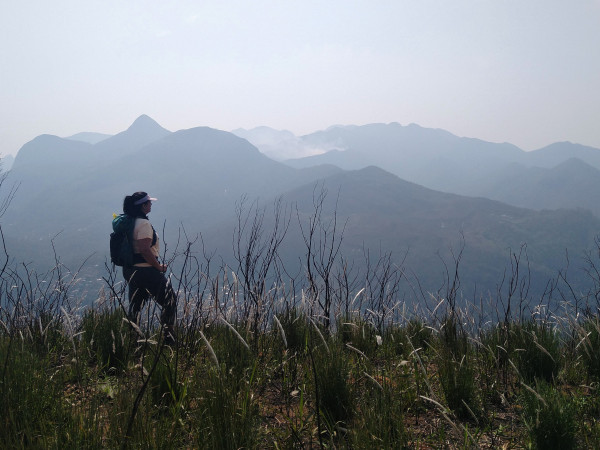 Westfalia ou Monte Florido