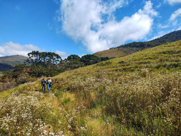 Circuito das Araucárias | P.E.da Serra do Papagaio