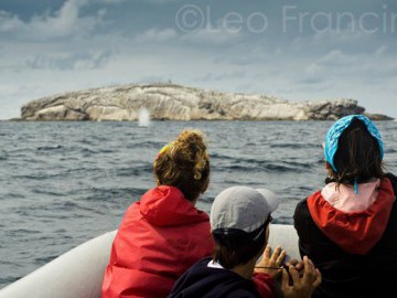 Subida a Ilha do Parque Estadual Marinho Laje de Santos