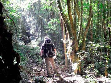 Trilha do Rio Moll - Parque Estadual Serra do Tabuleiro SC