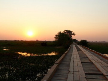 Transpantaneira 2015