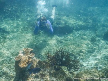 Curaçao - Snorkeling Fácil