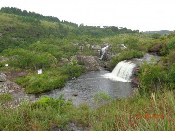 Parque Nacional dos Campos Gerais (PR) - Dez/15