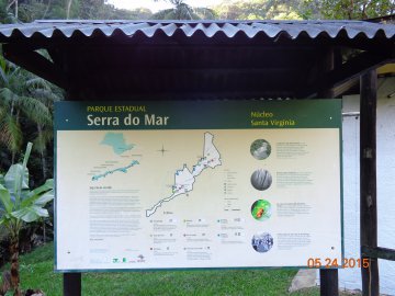 P.E. da Serra do Mar (núcleo Santa Virgínia) - (SP) - Mai/15