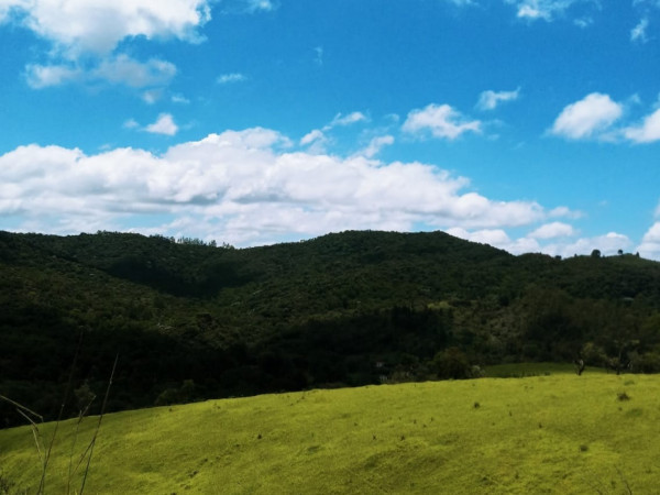 P. E. Serra da Itaberaba (Guarulhos / SP) - Fev/22