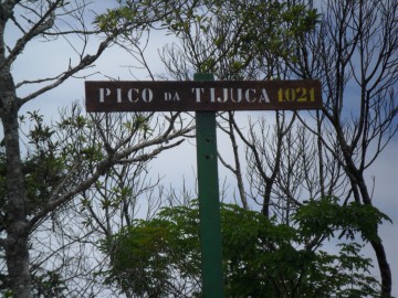 Pico da Tijuca