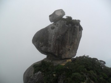 Peito do Pombo Sana