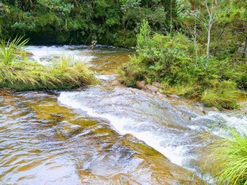 Trilha do Ouro - Caminho de Mambucaba