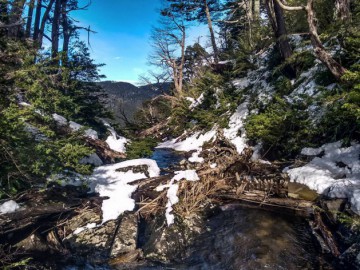 Trekking Los Lagos - Parque Nacional Huerquehue (inverno)