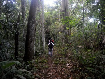 Trilhas pela Amazônia Peruana