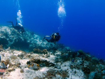 Mergulhando em Cozumel