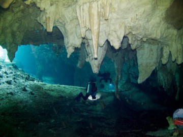Os Cenotes de Tulum - México
