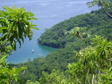 Volta da Ilhabela