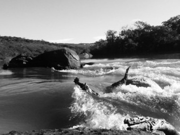 Viagem à Itutinga MG