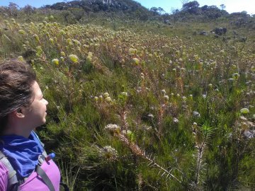 Parque Nacional Sempre - Vivas