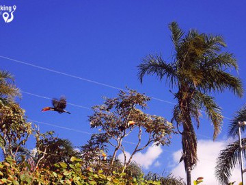 Alto Paraíso - Chapada dos Veadeiros