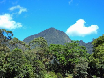 Pico Jurapê