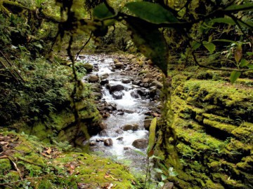 Rio Túnel: Grão Pará, SC