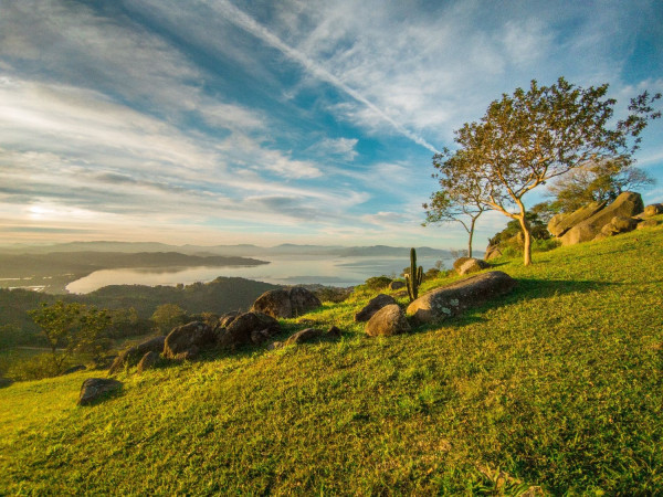 Mirante da Ponte Anita Garibaldi