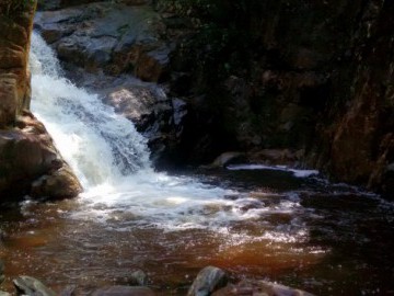 Trilha do Passareúva - P.E. da Serra do Mar