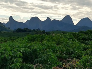 Escalada em Pancas - ES / Brasil