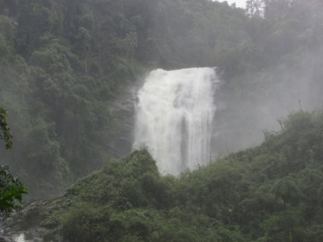 Trilha do Ouro - Serra da Bocaina