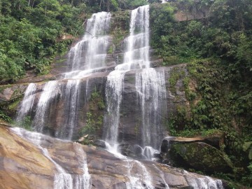 REGUA - Reserva Ecológica de Guapiaçu
