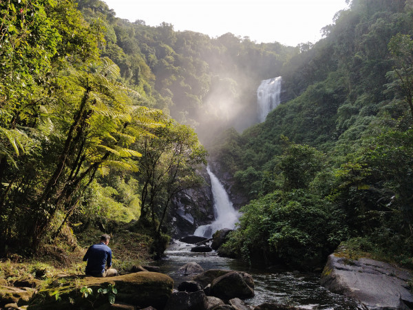 TRILHA DO OURO - Pq. Nacional da Serra da Bocaina - SP/RJ