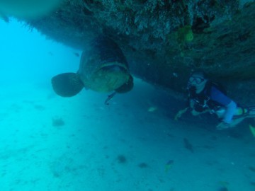Mergulho em Naufragio  - Serrambi, Ipojuca - Recife