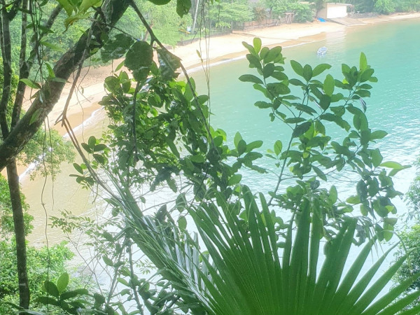 Trilha das SETE FONTES : UBATUBA