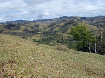 Explorando Martins Paraisópolis