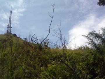 Trilha do Pai Zé [Pico do Jaraguá]
