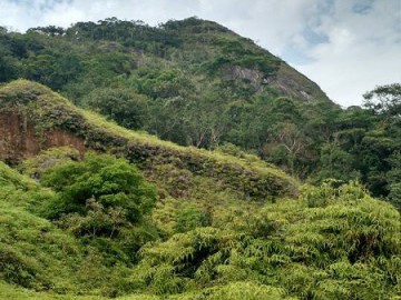 Morro da Cruz (Escalvado)