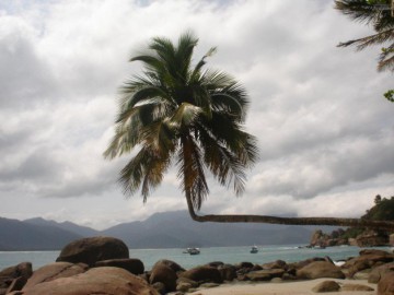Ilha Grande - RJ