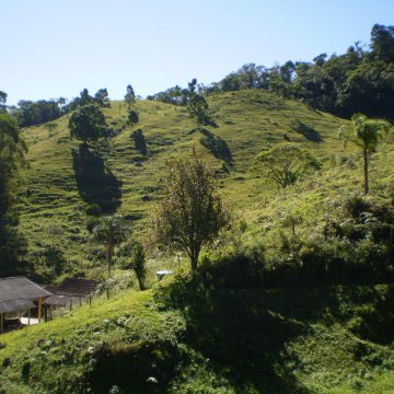 Arnaldo Britto