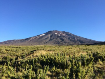 Terra de Vulcões - Lonquimay, Patagônia Chilena