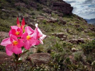 No Topo do Nordeste – Pico do Barbado, 2.033 Metros.