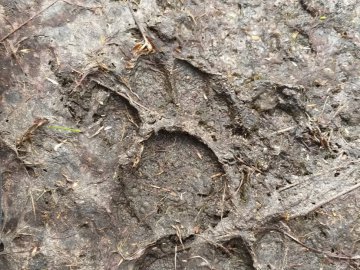 Mucugê - Igatu, a rota dos garimpeiros clássicos
