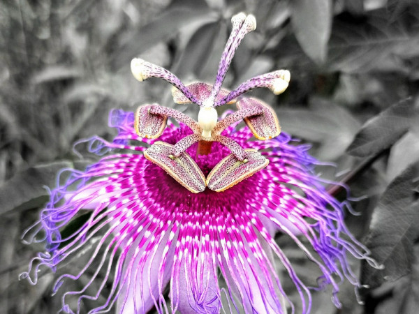 Água Suja, alma limpa!