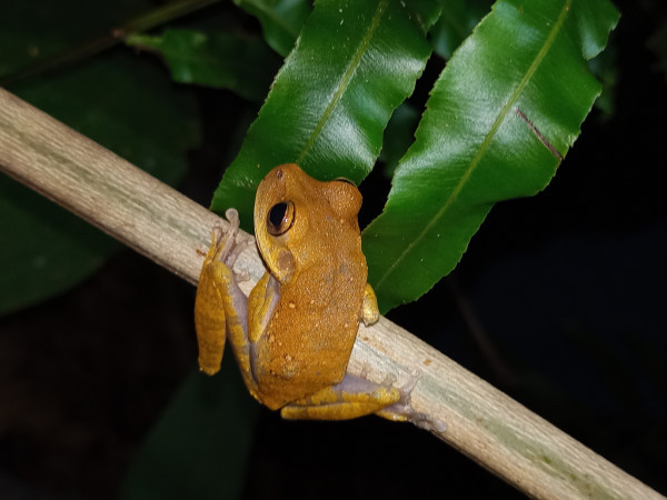 Poço das Estrelas via Lutanda