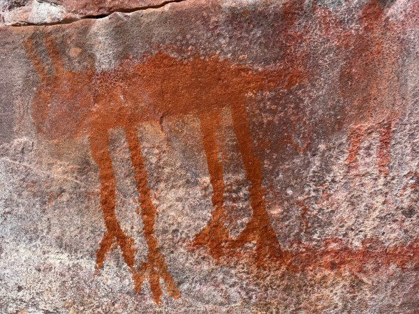 Medo de onça - Herculano/Herculaninho