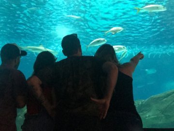 AquaRio - Turistando Conexão 013x021 ✌🏼