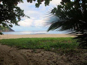 Trilha do Bonete - Ilhabela