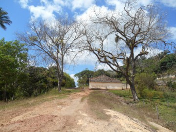 Trekking no Caminho dos Engenhos - Areia - PB