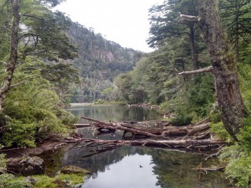 Trekking Parque Nacional Huerquehue