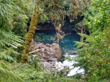 Trekking Parque Nacional Puyehue